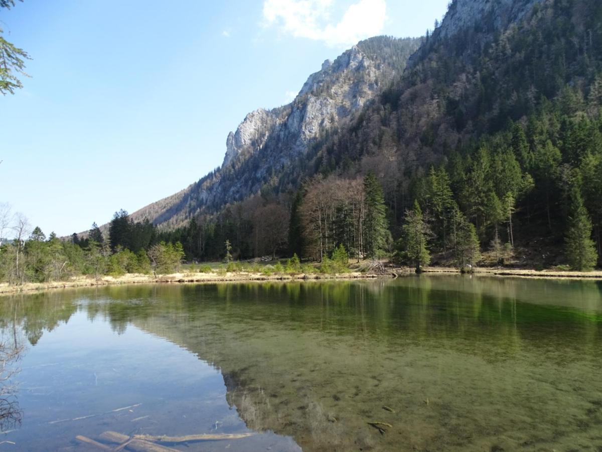 Ferienwohnung Frieda Inzell Εξωτερικό φωτογραφία