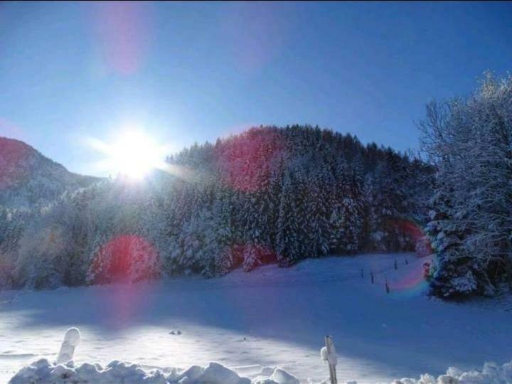 Ferienwohnung Frieda Inzell Εξωτερικό φωτογραφία